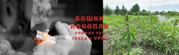 молекула духа Дмитров