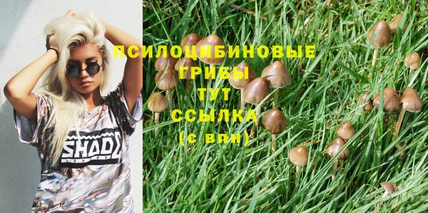 марки nbome Дмитровск