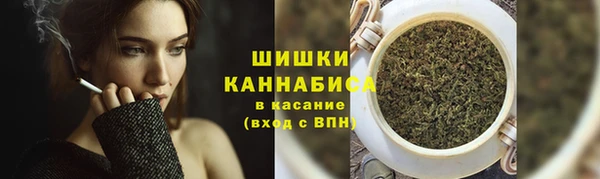 спайс Дмитриев