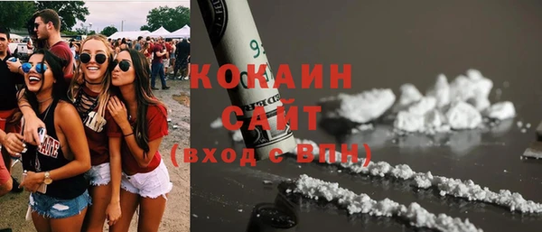 сатива Гусь-Хрустальный