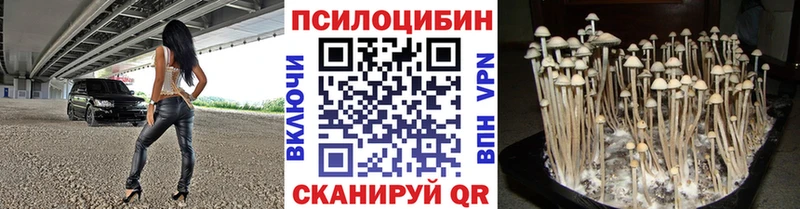 Псилоцибиновые грибы MAGIC MUSHROOMS  Зверево 
